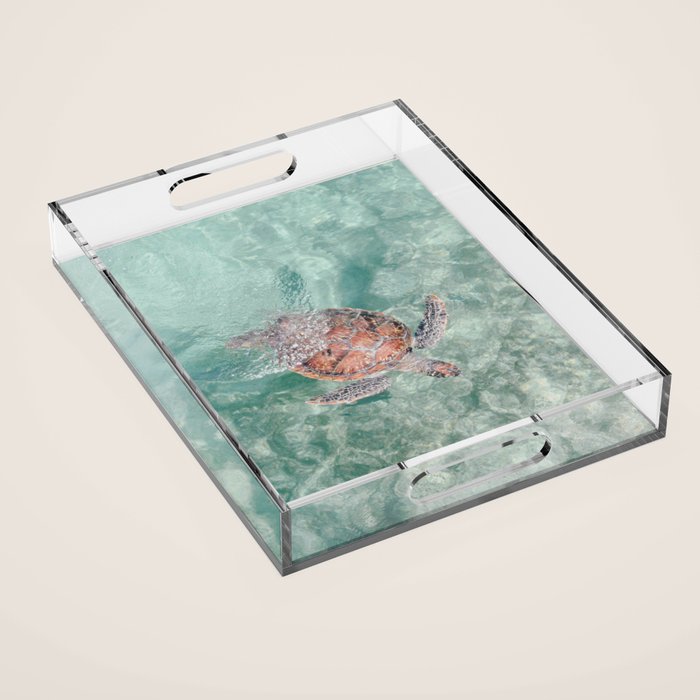 sea turtle iv - reunion island Acrylic Tray Gallery Image 1