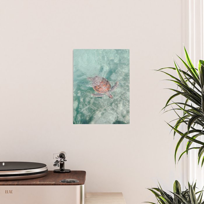 sea turtle iv - reunion island Poster Gallery Image 2