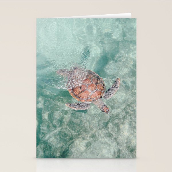 sea turtle iv - reunion island Stationery Card Gallery Image 2