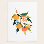 Summer Oranges Poster Gallery Image 4