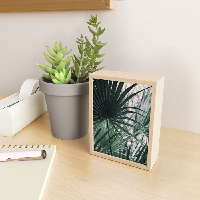 Fan Palms Galore - Tropical Nature Photography Mini Art Print Gallery Image 2