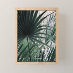 Fan Palms Galore - Tropical Nature Photography Mini Art Print Gallery Image 1
