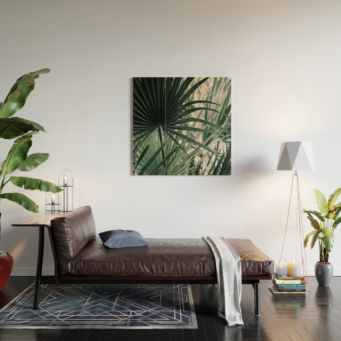 Fan Palms Galore - Tropical Nature Photography Wood Wall Art Gallery Image 2