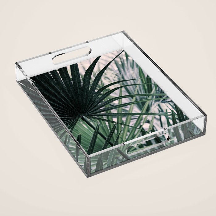 Fan Palms Galore - Tropical Nature Photography Acrylic Tray Gallery Image 1