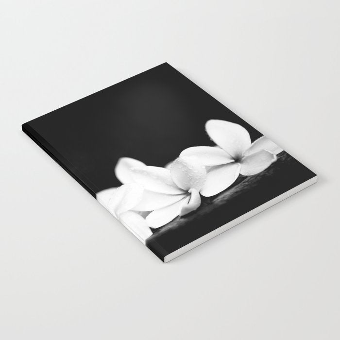 Singapore White Plumeria Flowers the Fragrance of Hawaii Notebook Gallery Image 1