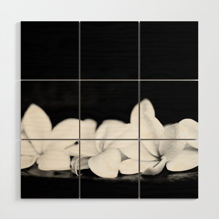 Singapore White Plumeria Flowers the Fragrance of Hawaii Wood Wall Art Gallery Image 1