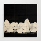 Singapore White Plumeria Flowers the Fragrance of Hawaii Wood Wall Art Gallery Image 1
