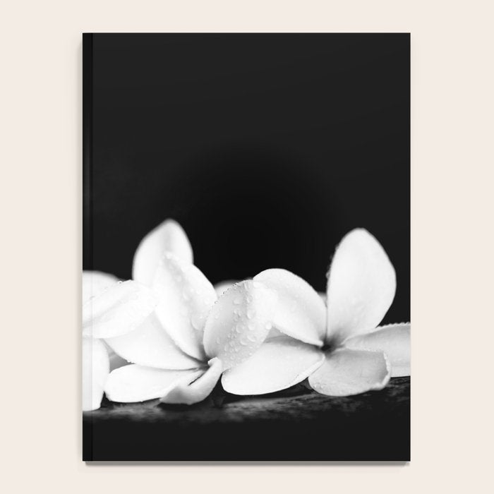 Singapore White Plumeria Flowers the Fragrance of Hawaii Notebook Gallery Image 4