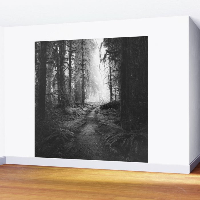Magical Washington Rainforest Black and White Wall Mural Gallery Image 2