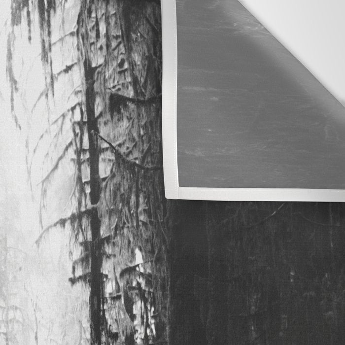 Magical Washington Rainforest Black and White Wall Tapestry Gallery Image 3
