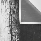 Magical Washington Rainforest Black and White Wall Tapestry Gallery Image 3