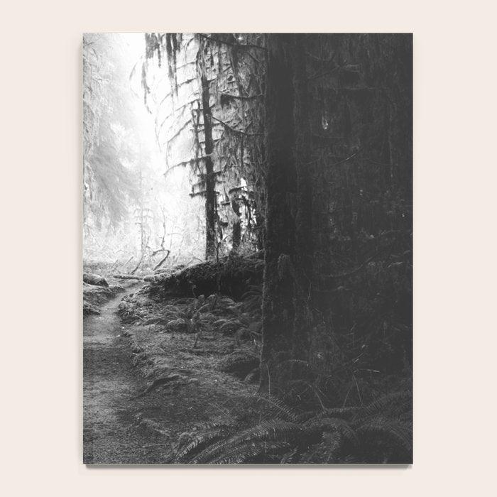 Magical Washington Rainforest Black and White Notebook Gallery Image 4