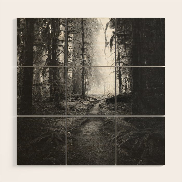 Magical Washington Rainforest Black and White Wood Wall Art Gallery Image 1
