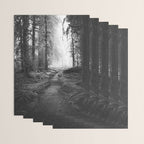 Magical Washington Rainforest Black and White Wrapping Paper Gallery Image 3