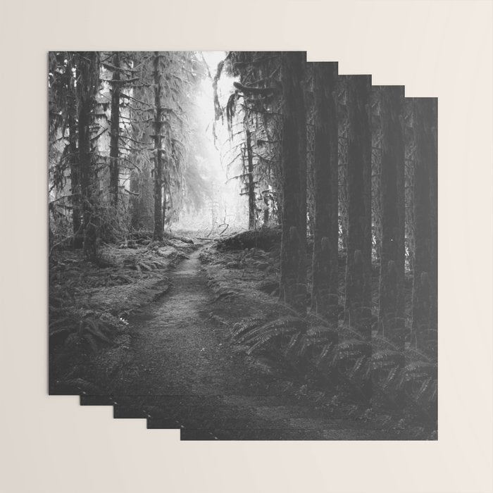 Magical Washington Rainforest Black and White Wrapping Paper Gallery Image 3