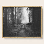 Magical Washington Rainforest Black and White Serving Tray Gallery Image 1