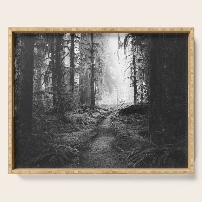Magical Washington Rainforest Black and White Serving Tray Gallery Image 1