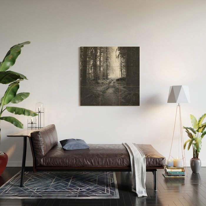 Magical Washington Rainforest Black and White Wood Wall Art Gallery Image 2