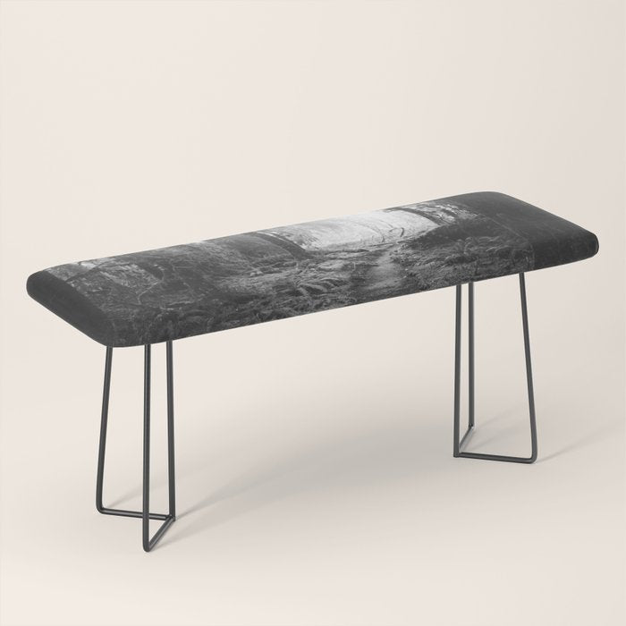 Magical Washington Rainforest Black and White Bench Gallery Image 1