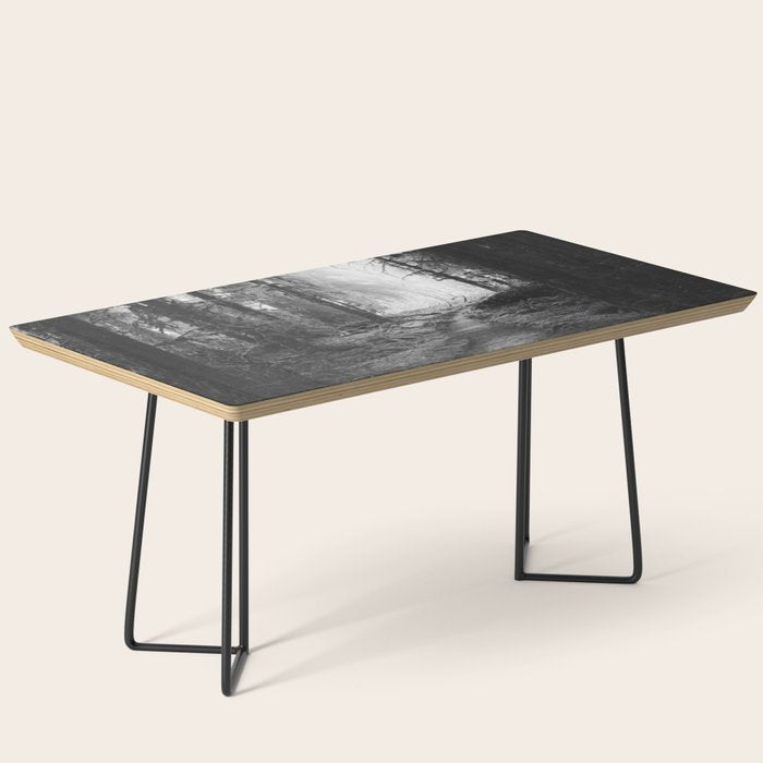 Magical Washington Rainforest Black and White Coffee Table Gallery Image 1