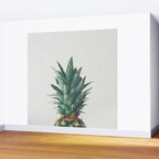 Pineapple Top Wall Mural Gallery Image 2