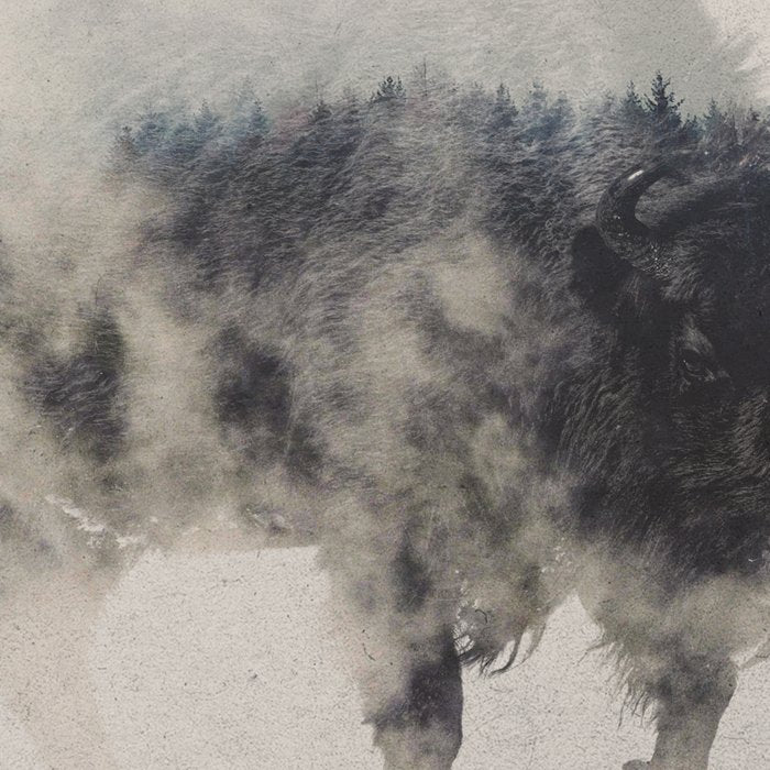 Bison In The Fog Coffee Mug Gallery Image 2