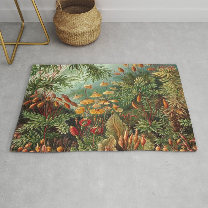 Ernst-haeckel-Kunstformen-der-Natur-viintage Rug Gallery Image 1