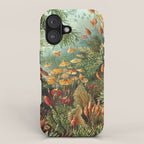 Ernst-haeckel-Kunstformen-der-Natur-viintage iPhone Case Gallery Image 1