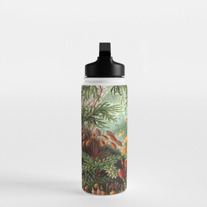 Ernst-haeckel-Kunstformen-der-Natur-viintage Water Bottle Gallery Image 3