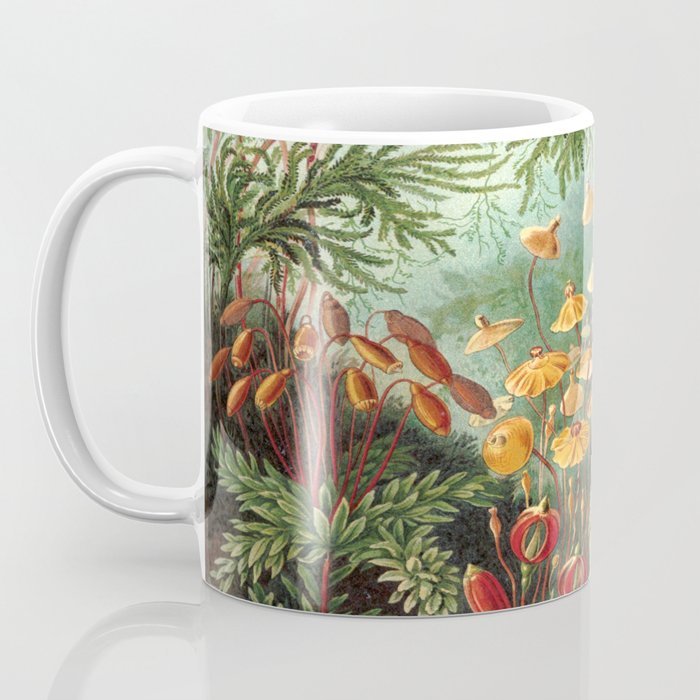 Ernst-haeckel-Kunstformen-der-Natur-viintage Coffee Mug Gallery Image 3