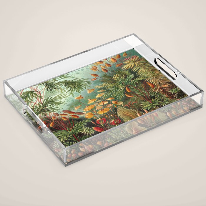 Ernst-haeckel-Kunstformen-der-Natur-viintage Acrylic Tray Gallery Image 1