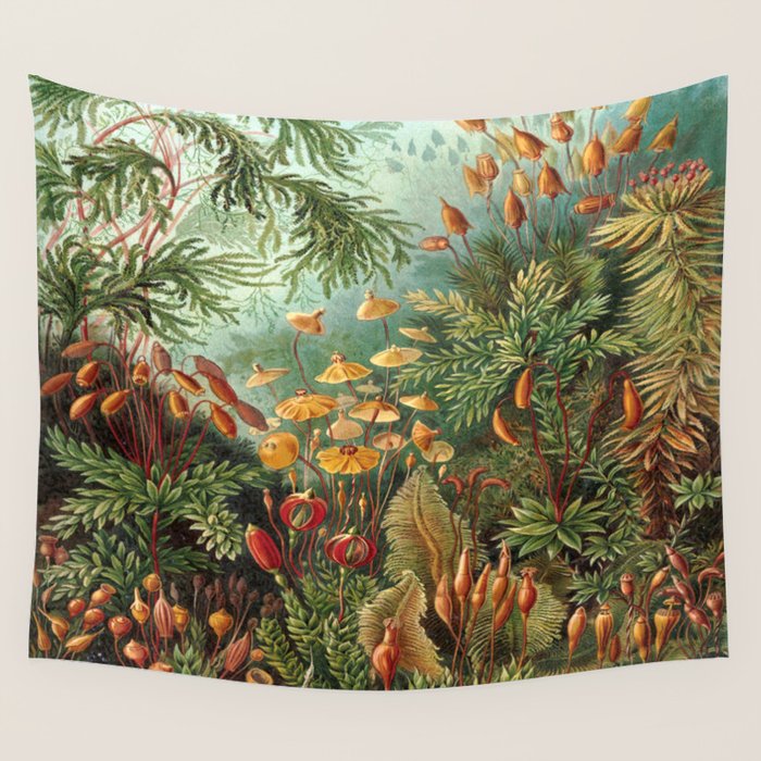 Ernst-haeckel-Kunstformen-der-Natur-viintage Wall Tapestry Gallery Image 1