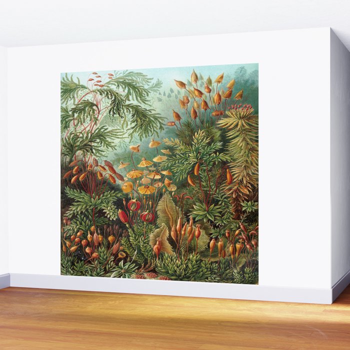 Ernst-haeckel-Kunstformen-der-Natur-viintage Wall Mural Gallery Image 2