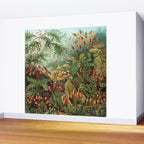 Ernst-haeckel-Kunstformen-der-Natur-viintage Wall Mural Gallery Image 2