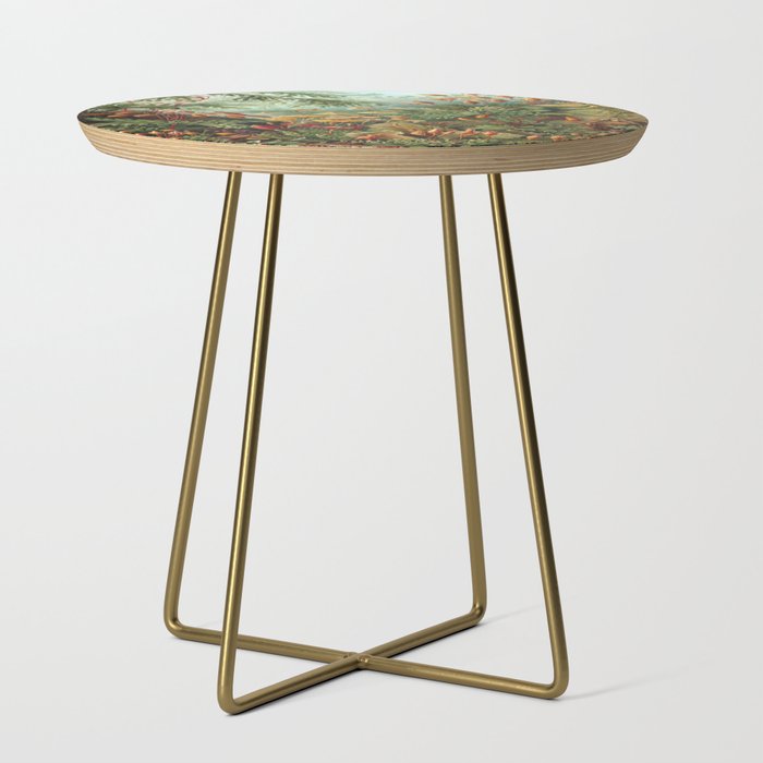 Ernst-haeckel-Kunstformen-der-Natur-viintage Side Table Gallery Image 1