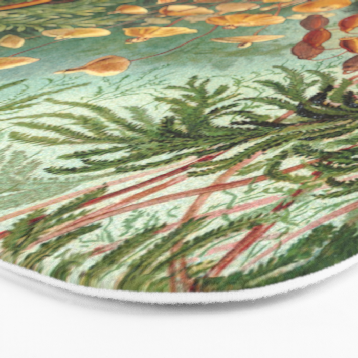 Ernst-haeckel-Kunstformen-der-Natur-viintage Bath Mat Gallery Image 3
