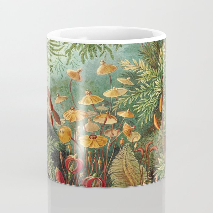 Ernst-haeckel-Kunstformen-der-Natur-viintage Coffee Mug Gallery Image 4