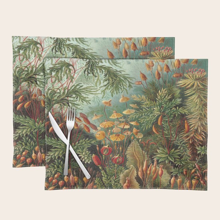Ernst-haeckel-Kunstformen-der-Natur-viintage Placemat Gallery Image 1