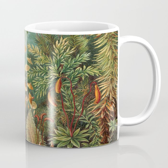 Ernst-haeckel-Kunstformen-der-Natur-viintage Coffee Mug Gallery Image 1