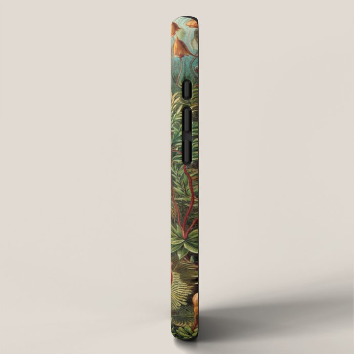 Ernst-haeckel-Kunstformen-der-Natur-viintage iPhone Case Gallery Image 2