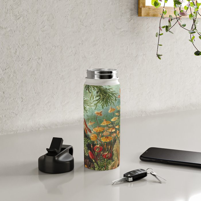 Ernst-haeckel-Kunstformen-der-Natur-viintage Water Bottle Gallery Image 4