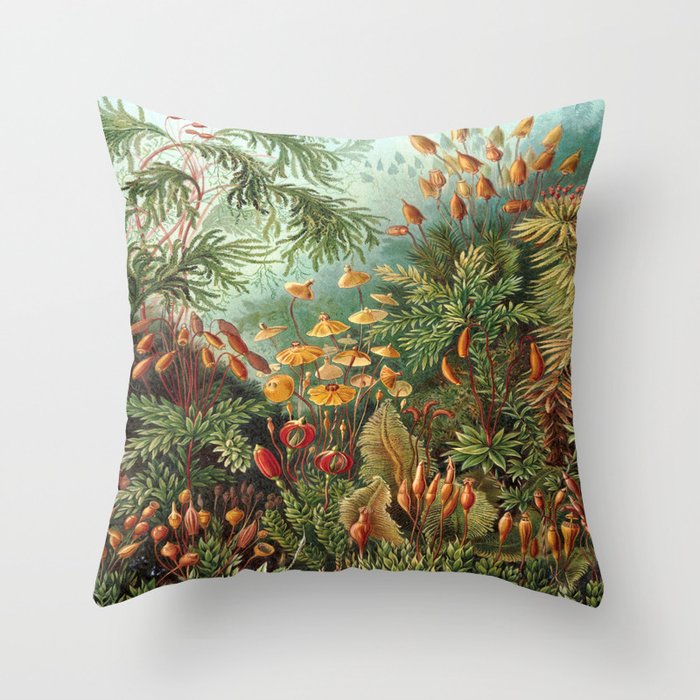 Ernst-haeckel-Kunstformen-der-Natur-viintage Throw Pillow Gallery Image 6