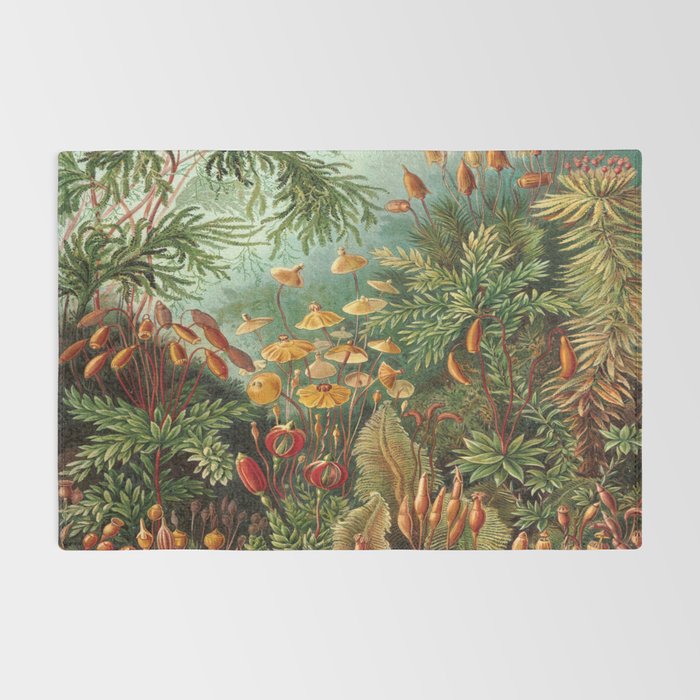 Ernst-haeckel-Kunstformen-der-Natur-viintage Rug Gallery Image 2