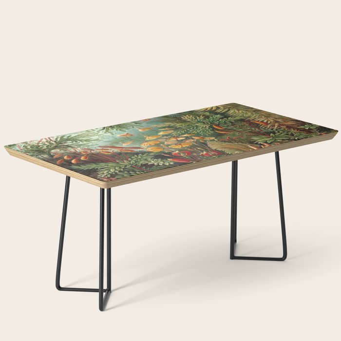 Ernst-haeckel-Kunstformen-der-Natur-viintage Coffee Table Gallery Image 1