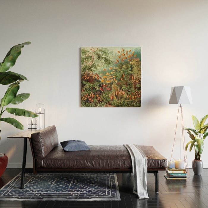 Ernst-haeckel-Kunstformen-der-Natur-viintage Wood Wall Art Gallery Image 2