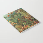 Ernst-haeckel-Kunstformen-der-Natur-viintage Notebook Gallery Image 2