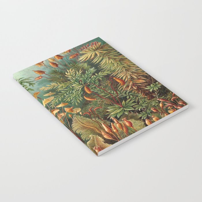 Ernst-haeckel-Kunstformen-der-Natur-viintage Notebook