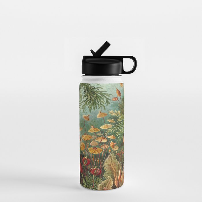 Ernst-haeckel-Kunstformen-der-Natur-viintage Water Bottle Gallery Image 1