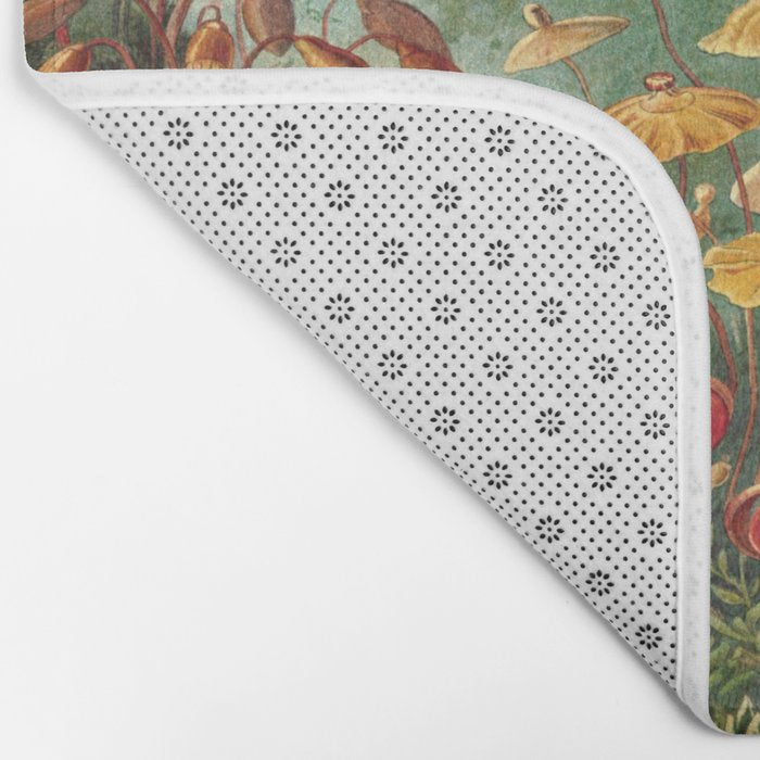Ernst-haeckel-Kunstformen-der-Natur-viintage Bath Mat Gallery Image 2