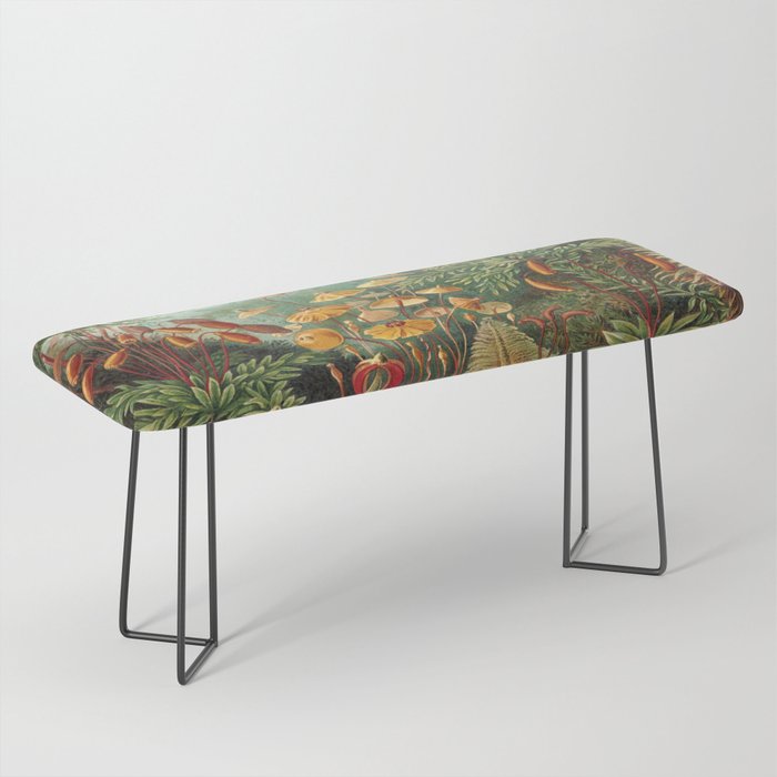 Ernst-haeckel-Kunstformen-der-Natur-viintage Bench Gallery Image 1